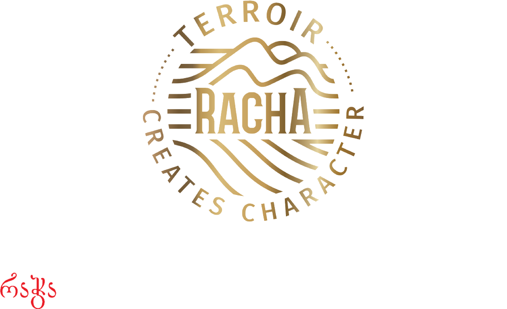 villachven logo